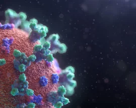 Image of cell