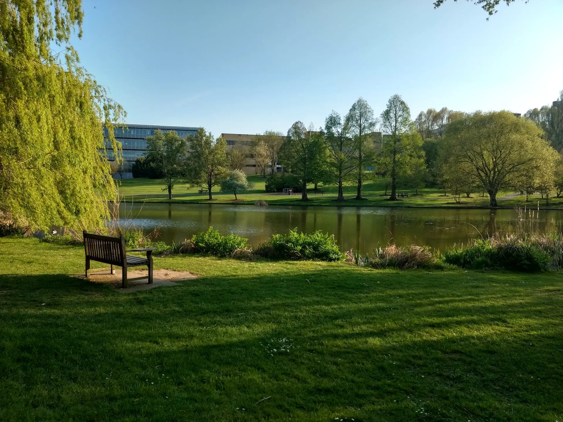 Park view in Surrey